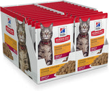 Alimento húmedo para gatos adultos pollo paquete de 24