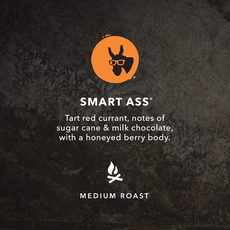 Kicking Horse Coffee, Smart Ass, Café de tueste medio, molido, 10 oz, orgánico certificado, comercio justo, kosher