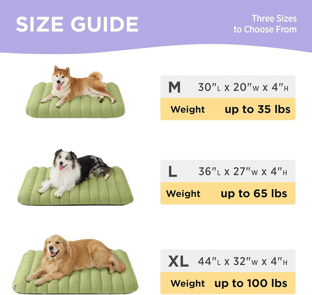 Cama de espuma para perros grandes plana impermeable verde