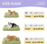 Cama de espuma para perros grandes plana impermeable verde