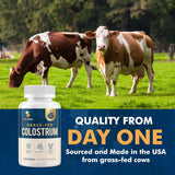 Suplemento de Calostro 2 Meses, Bovina Alimentada con Pasto