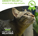Suplementos de Aceite de cañamo y melatonina para gatos