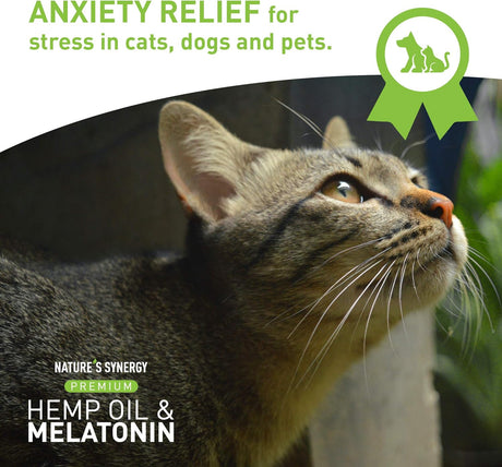 Suplementos de Aceite de cañamo y melatonina para gatos