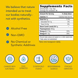 Suplemento SPICE Aceite de semilla negra, 16 onzas líquidas