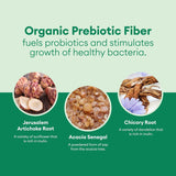 Suplemento Probióticos  Lactobacillus Gasseri + 5 cepas 60u