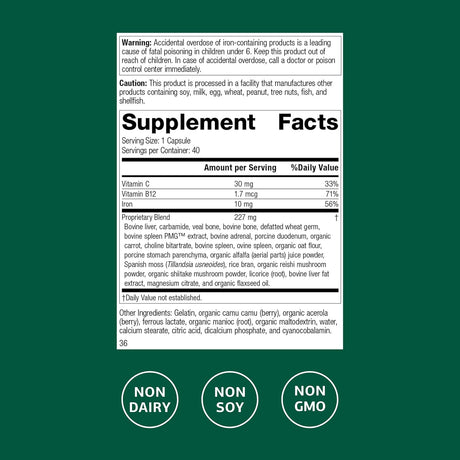 Ferrofood Suplemento de Hierro con Vitamina C - 40 Cápsulas
