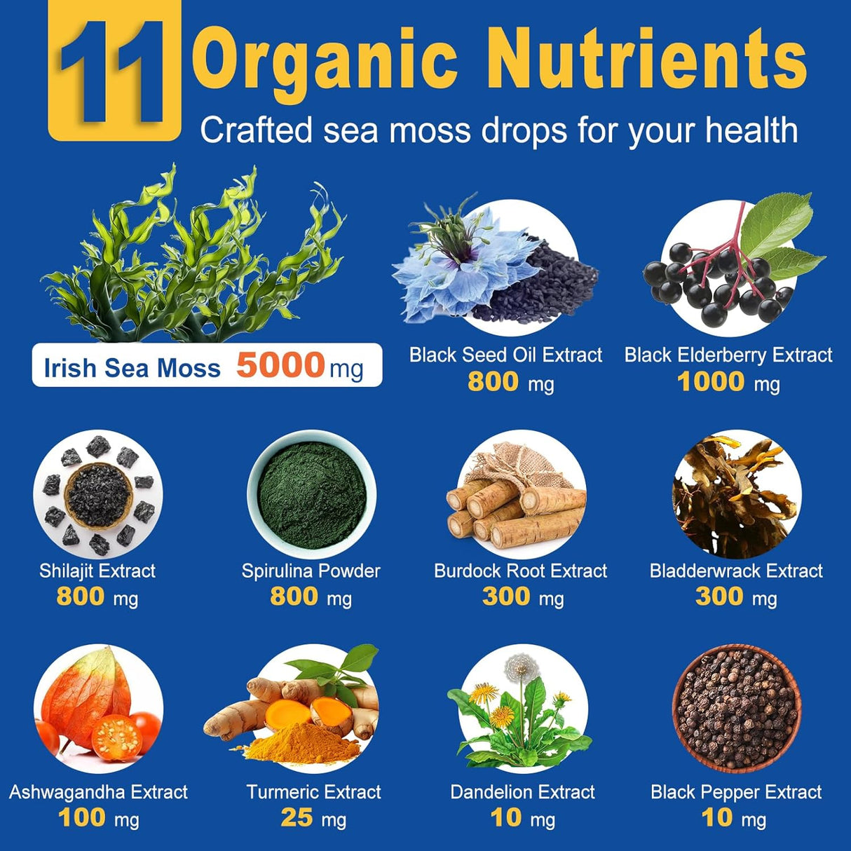 Sea Moss Drops, suplemento de gel líquido con aceite de semilla negra, 2 oz