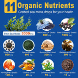 Sea Moss Drops, suplemento de gel líquido con aceite de semilla negra, 2 oz