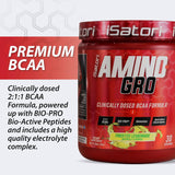 Suplemento aminoácidos iSatori Amino-GRO BCAA 30Serv