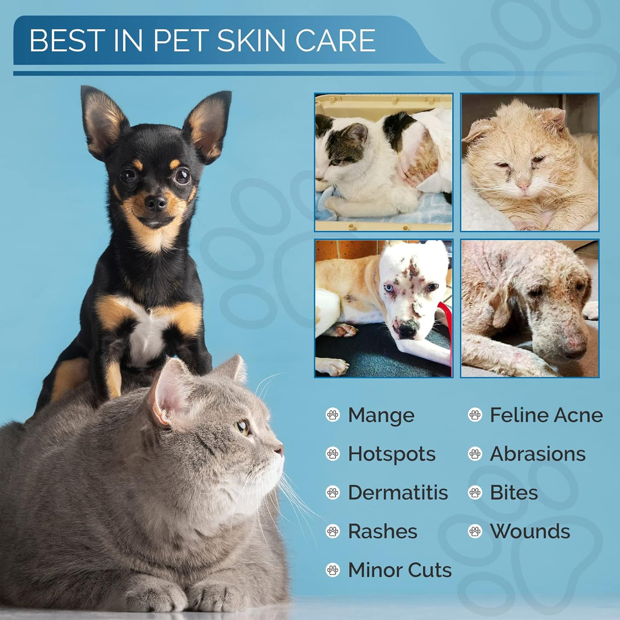 Tratamiento de puntos calientes para dermatitis de gatos