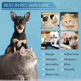 Tratamiento de puntos calientes para dermatitis de gatos
