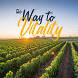 Vitalitown Vitamina D3 K2 Suplemento 90 cáp. Non-GMO