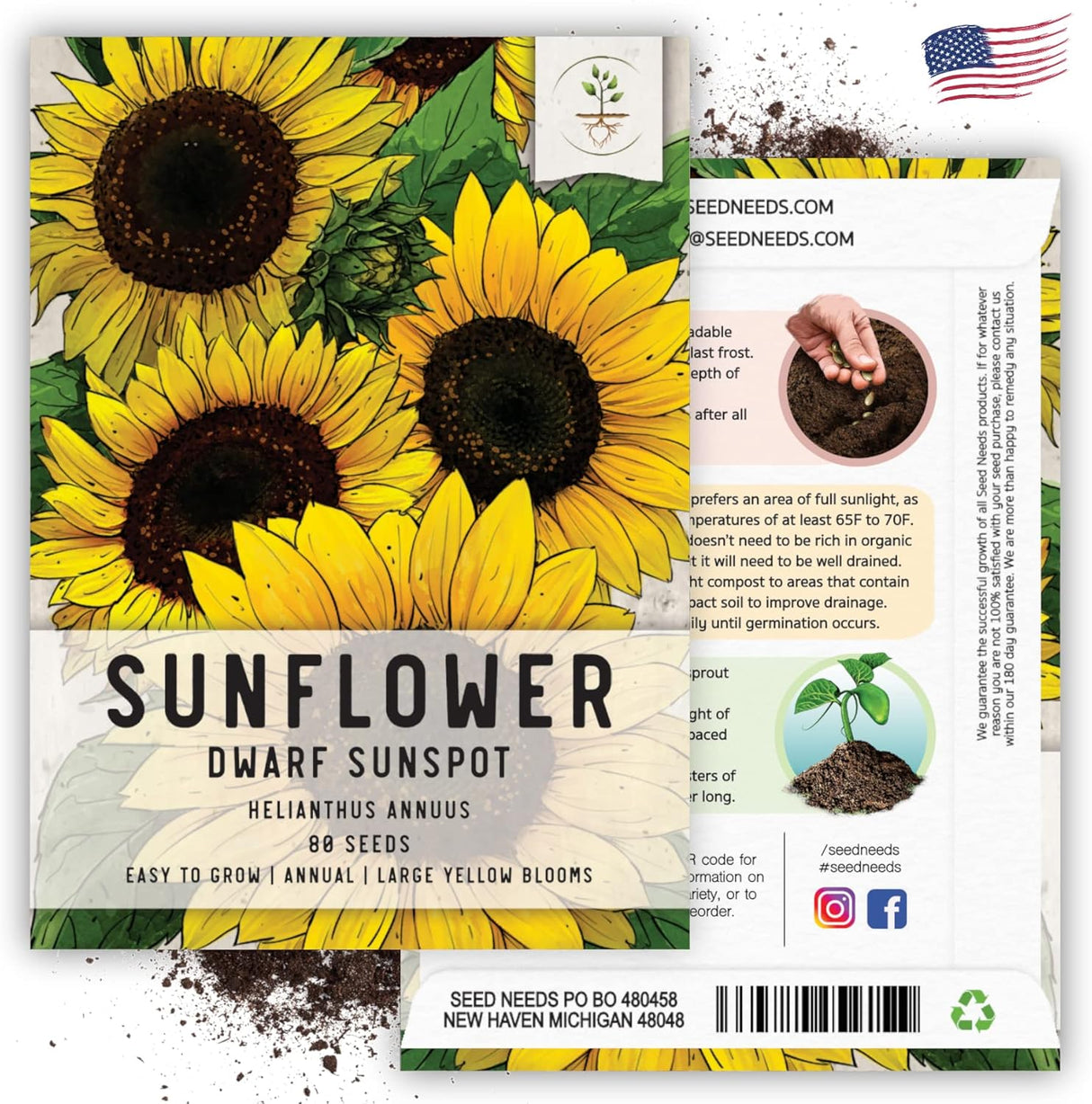 Semillas de Girasol Dwarf Sunspot - Seed Needs, 80 Heirloom