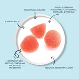 Suplemento Gomitas de saúco para el sistema inmunológico