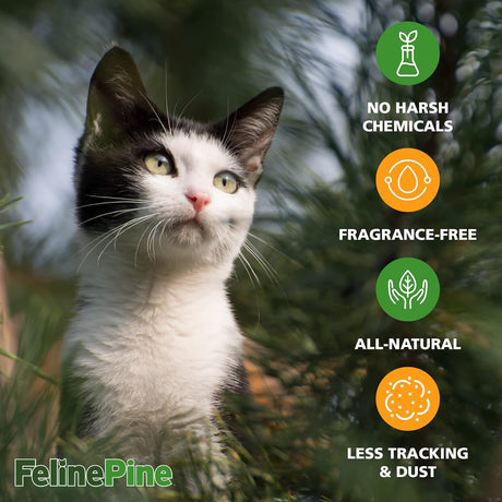 Arm & Hammer Piedra para gato Feline Pine Platinum 18lb, no aglomerante