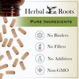 Suplemento Herbal Roots orgánicas de raíz de jengibre puro