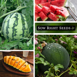 Colección de Semillas de Sandía - Sow Right Seeds - Heirloom