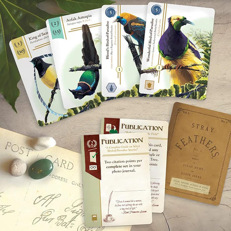 Juego de Mesa Birdwatcher de Renegade, 1-5 Jugadores, Solo.