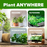 Semillas de Hierbas Culinarias HOME GROWN - No GMO, 15 Variedades