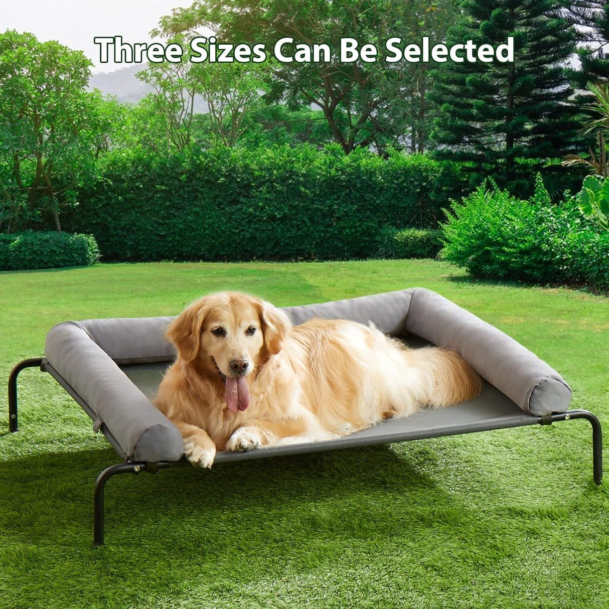 Cama Elevada para Perros RRPETHOME, Resistente y Portátil