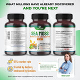 Cápsulas de Alga Marina Orgánica con Aceite de Negro, 150 uds