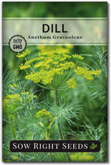 Colección de 5 Semillas de Hierbas - Sow Right Seeds