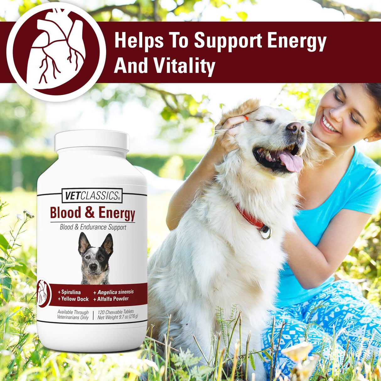 Vitaminas Soporte de sangre y energía para perros