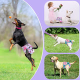 XPCARE Pañales lavables para perras con broches ajustables