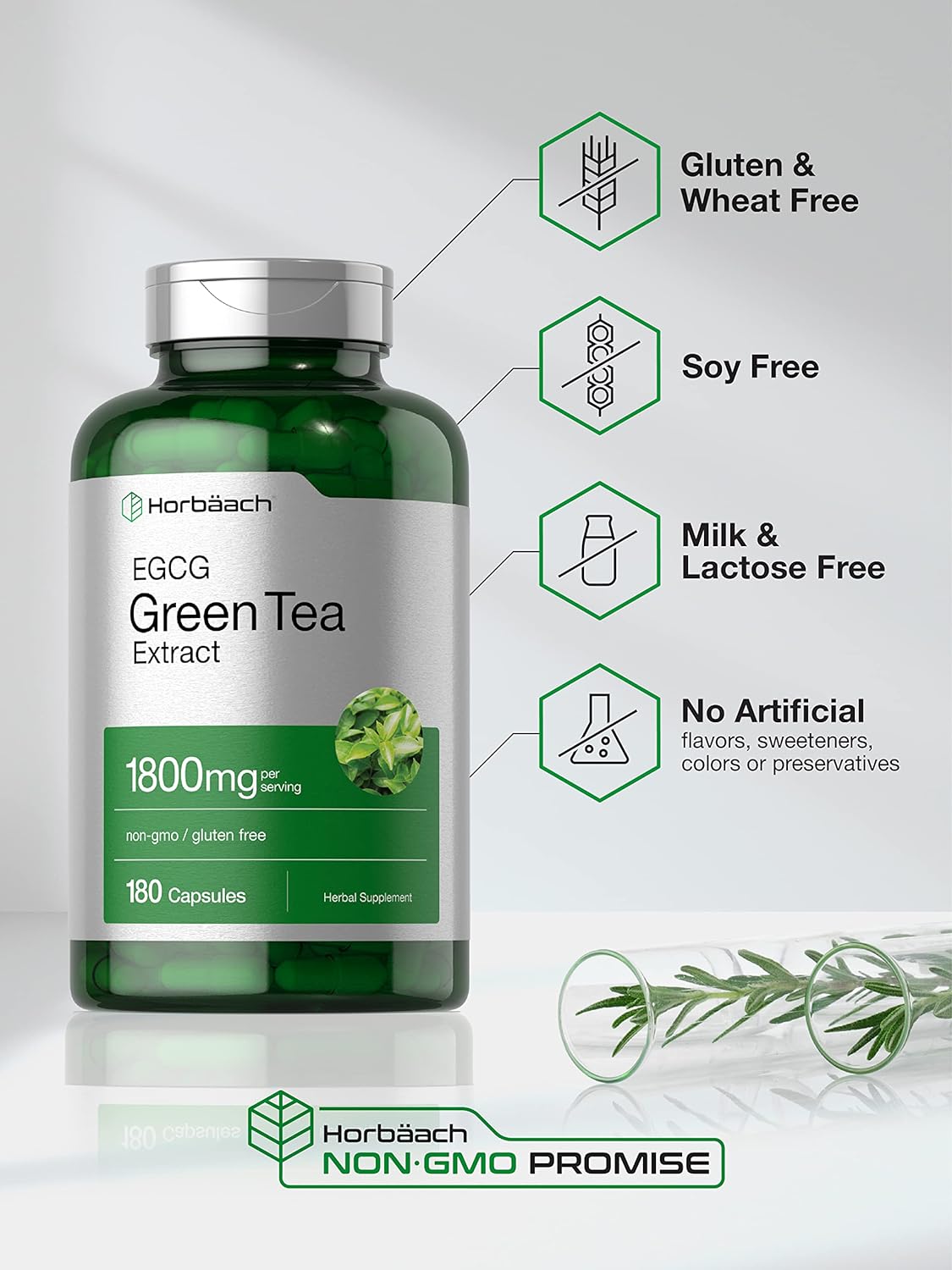 Suplemento Pastillas de extracto de té verde 180 cápsulas