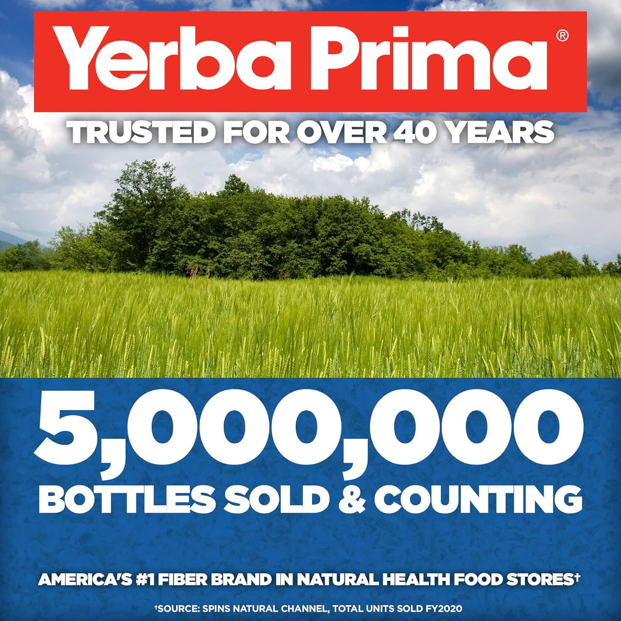 Limpiador de Colon Yerba Prima Psyllium, 12 oz (Paquete de 3)