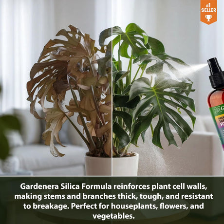 Suplemento de Silicato Líquido - 8oz - Mango Tree - 45 Gal