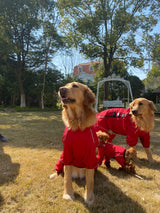 Chubasquero Perro, Reflectante, Impermeable, Talla XXL