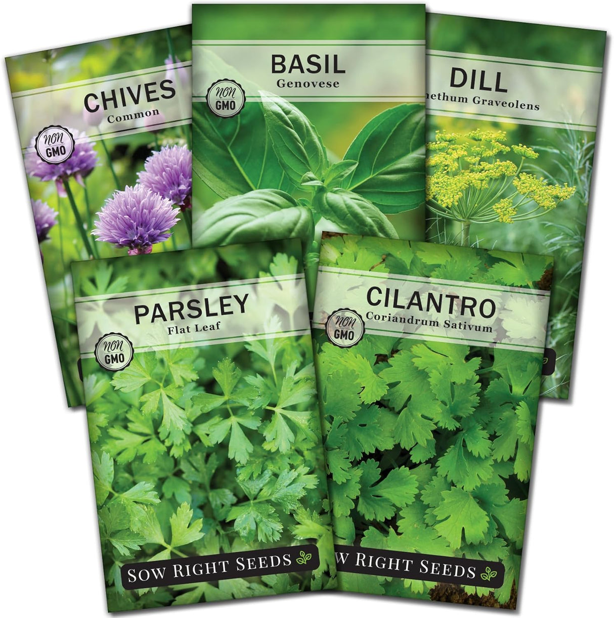 Colección de 5 Semillas de Hierbas - Sow Right Seeds