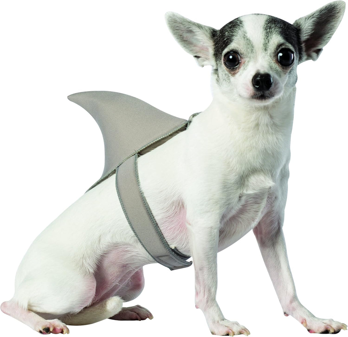 Disfraces de aleta de tiburón para perro talla S