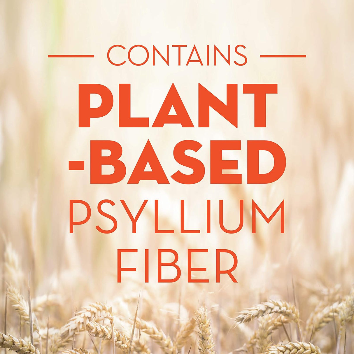 suplemento de fibra en polvo de cáscara de psyllium natural