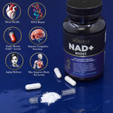 Suplemento de NAD+ Ageless - Ribósido de Nicotinamida 90 cps
