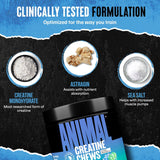 Animal Creatine Chews – Creatina Monohidrato con AstraGin y Sal, Max Absorción