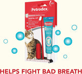 Kit dental para gatos pasta de dientes de malta