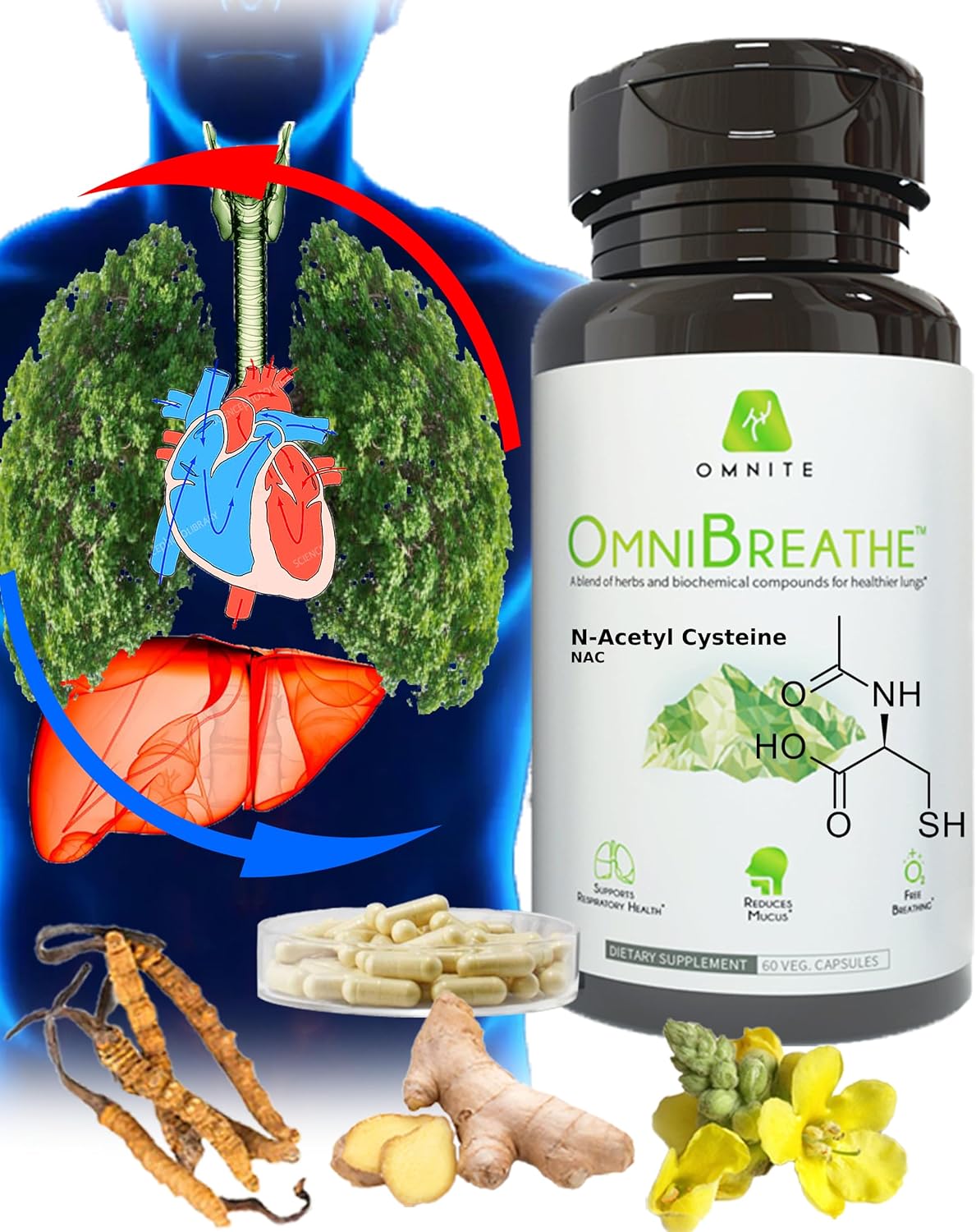 Suplementos de Alivio del asma salud bronquial Omnite