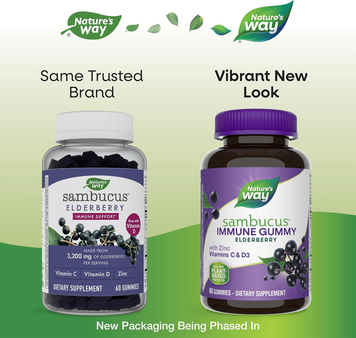 Suplemento Sambucus Elderberry Gummies Suplementos Herbales