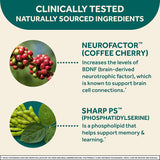Suplementos Alimenticios  apoyo cerebral NEURIVA
