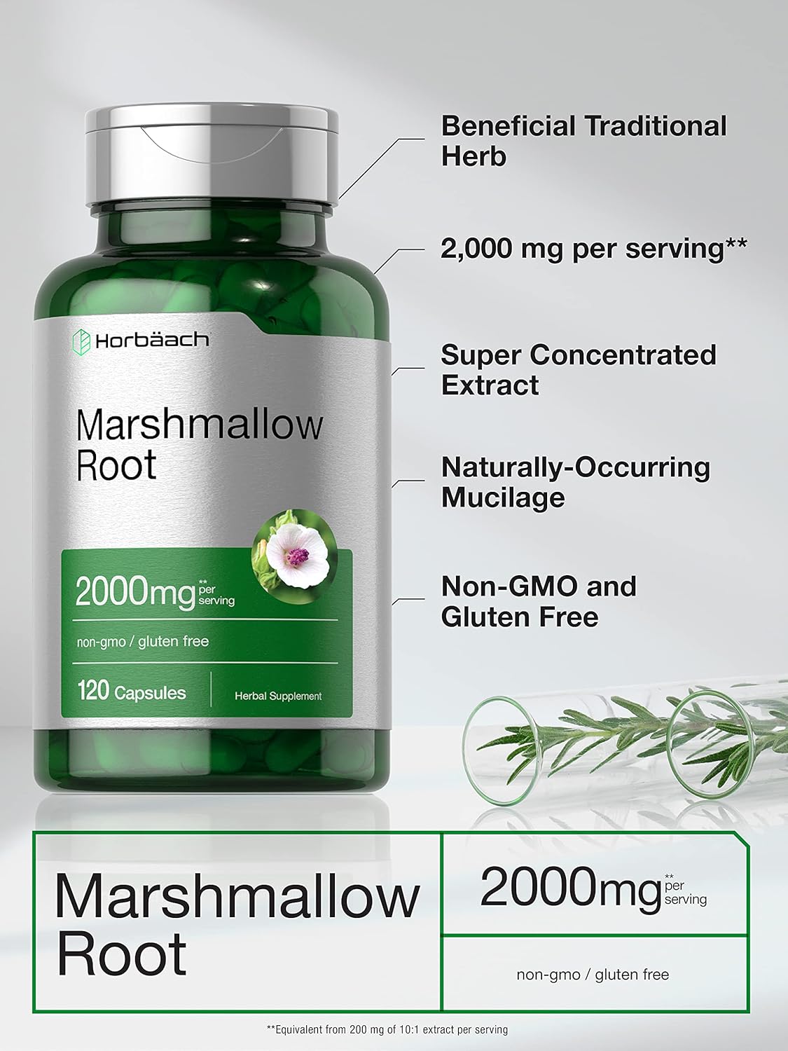 Suplemento Horbaach Cápsulas de raíz de malvavisco  2000 mg