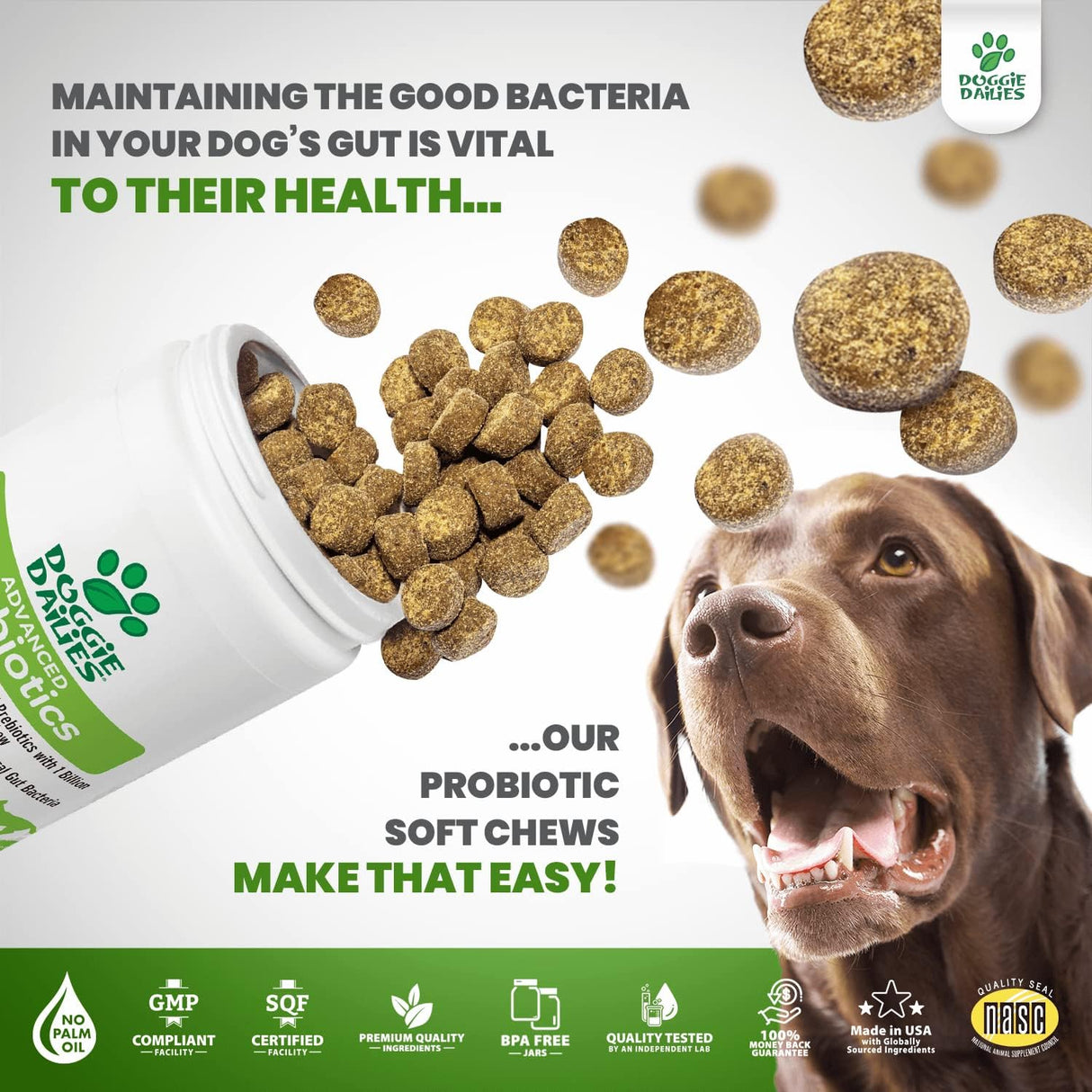 Vitaminas Probióticos para perros promueve la salud