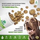 Vitaminas Probióticos para perros promueve la salud