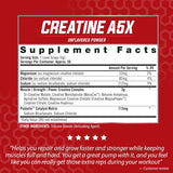 iSatori Creatine A5X, Creatina y Betaína, 50 Serv, Sin Sabor