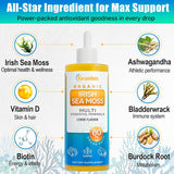 Sea Moss & Ashwagandha Drops - 80 Servings, 10X Potency