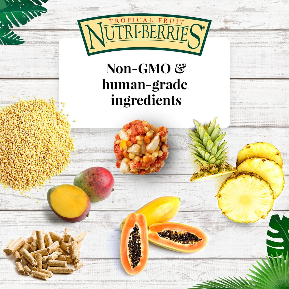 LAFEBER&#39;S Tropical Fruit Nutri-Berries Alimento 3 libras