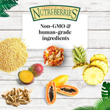 LAFEBER&#39;S Tropical Fruit Nutri-Berries Alimento 3 libras