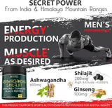 Suplemento 5 en 1 Ashwagandha 16100mg con Shilajit puro