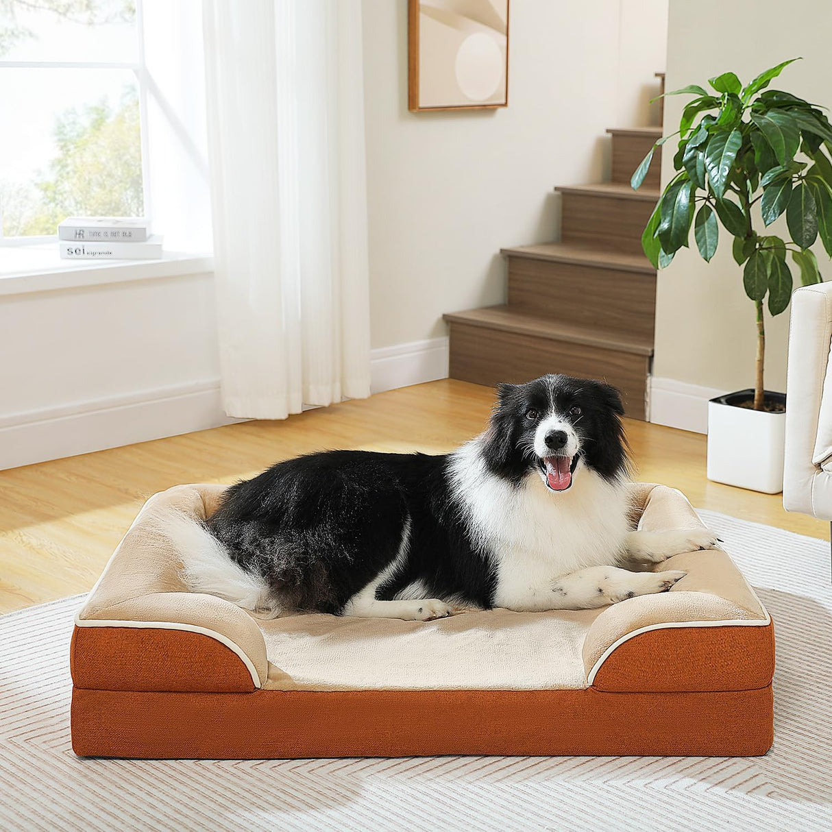 Cama ortopédica para perros PAWZ Road, memoria, impermeable, mediana